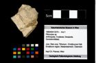 Foto (Objekt + Etikett) von Pithonoton sp.  (NHMW-GEO-1990-0041-3270)